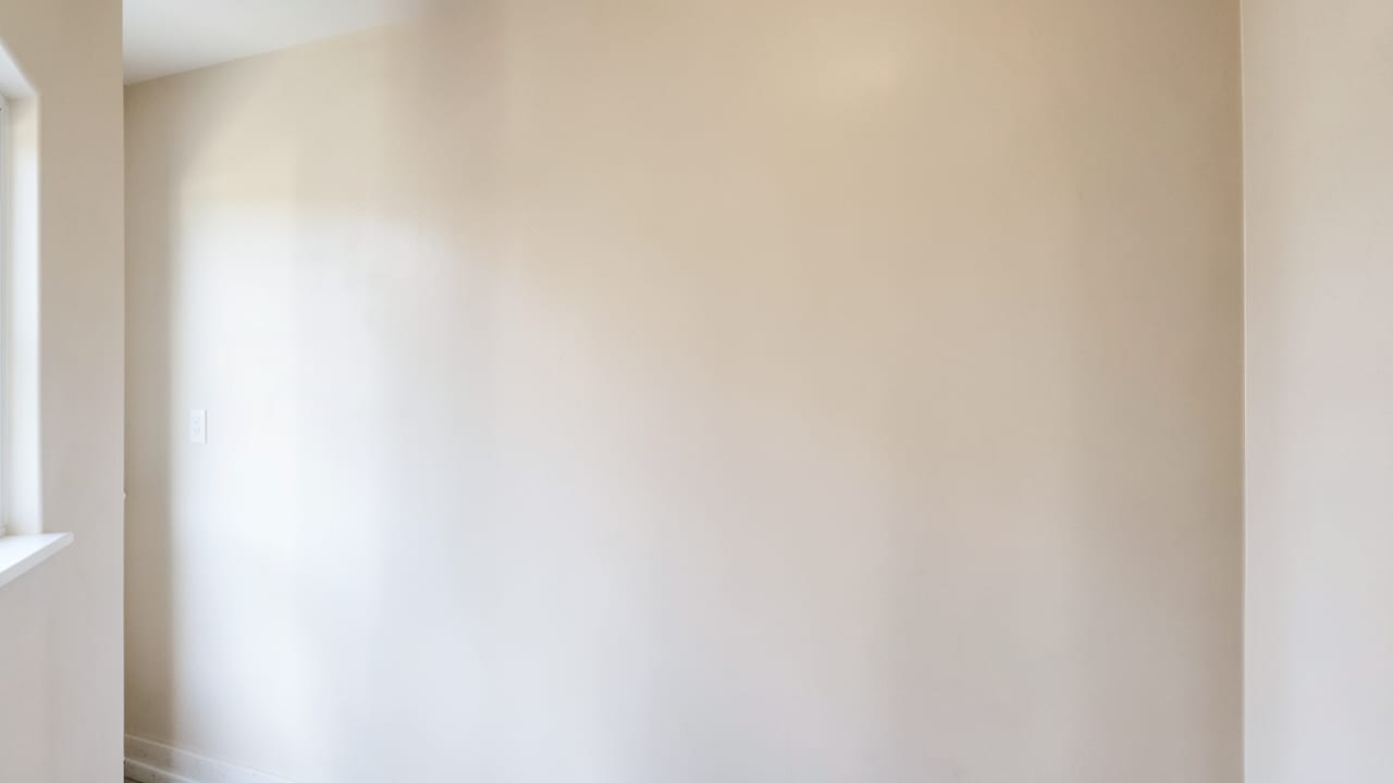 Plaster Mold Remediation in Indian Rocks Beach, FL in Indian Rocks Beach