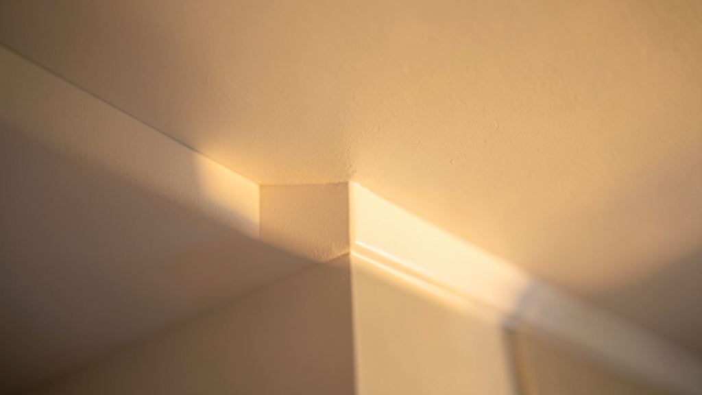 Does Home Insurance Cover Mold Damage in Lake Forest?