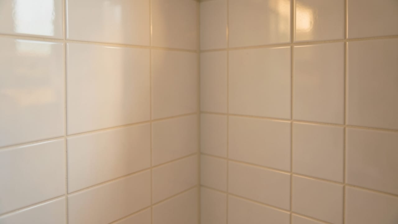 Bathroom Mold Removal in Lake Forest, CA in Lake Forest