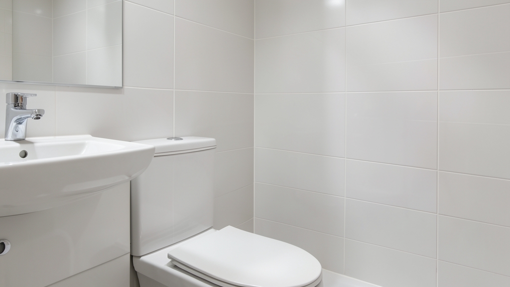 Why Post-Remediation Verification Matters for Mold Projects in Lehi