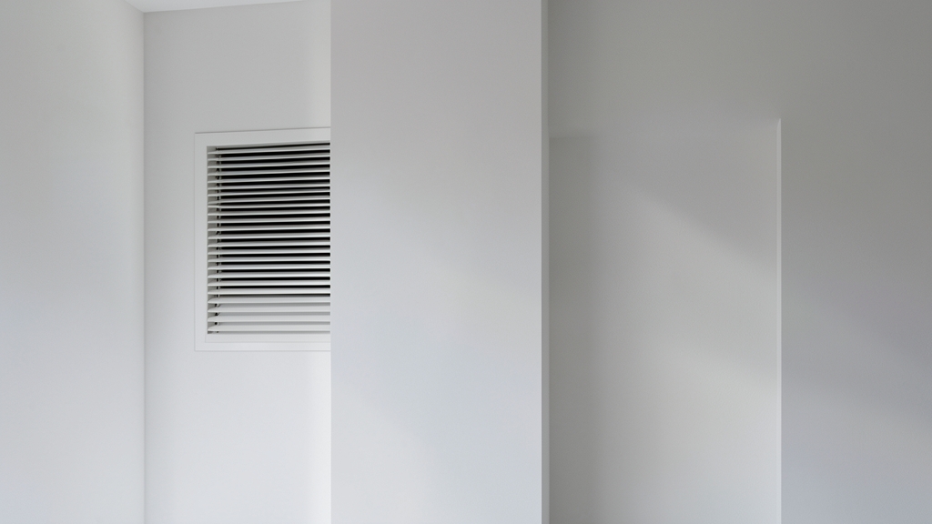 Why DIY Mold Tests Aren’t Enough for Lehi Homeowners
