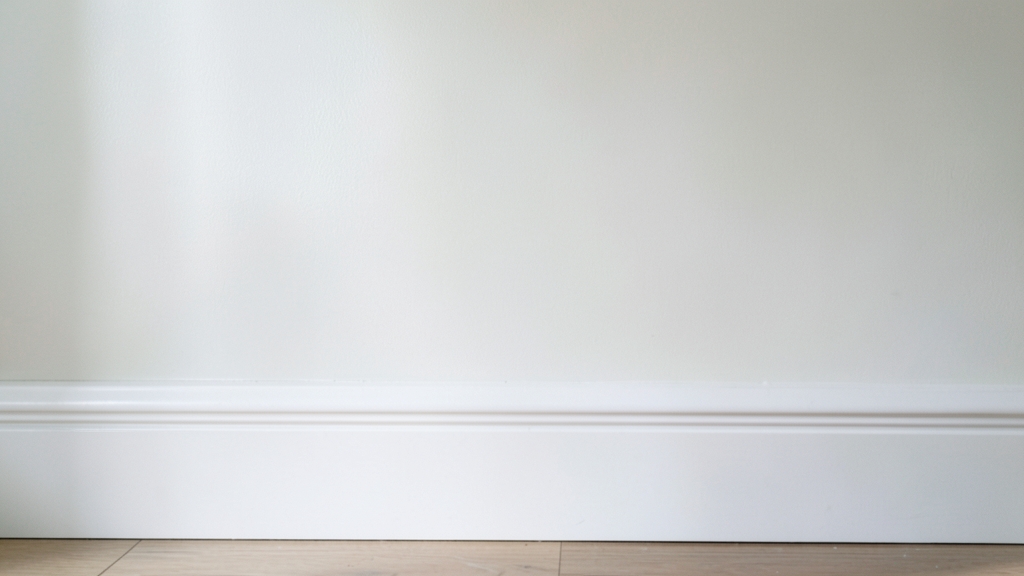 Case Study: Large-Scale Mold Remediation in a Maple Shade