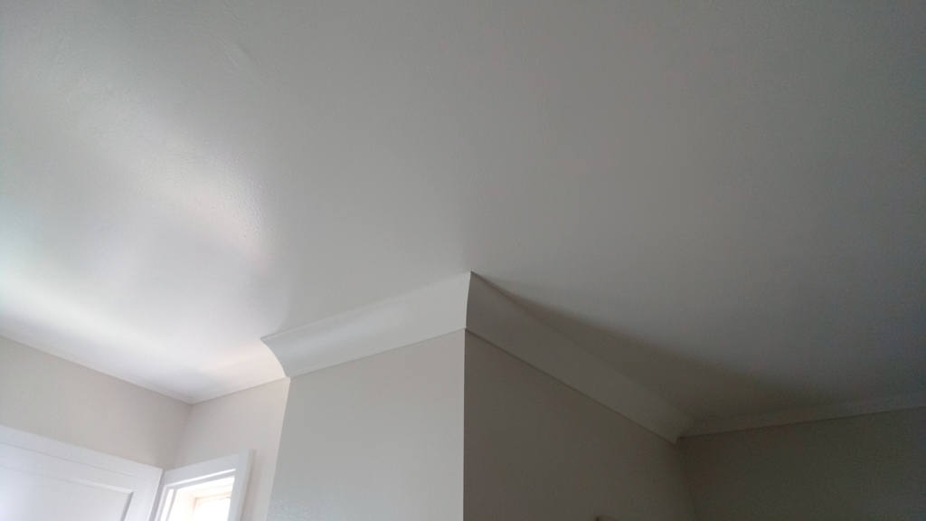 The Legal and Health Risks of DIY Mold in Maple Shade