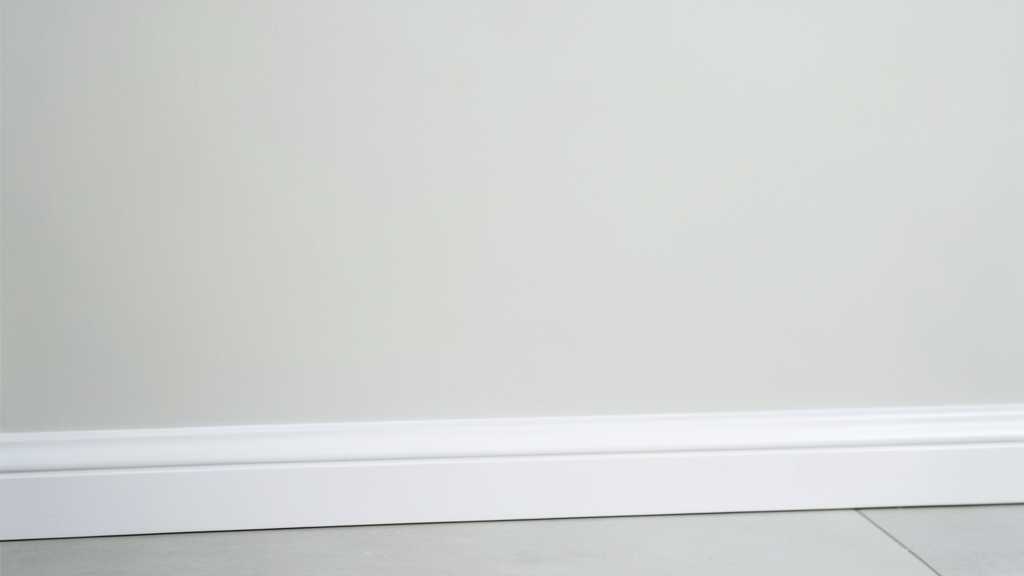 Moisture Mapping 101: A Critical Tool for Mold Inspections in Maple Shade