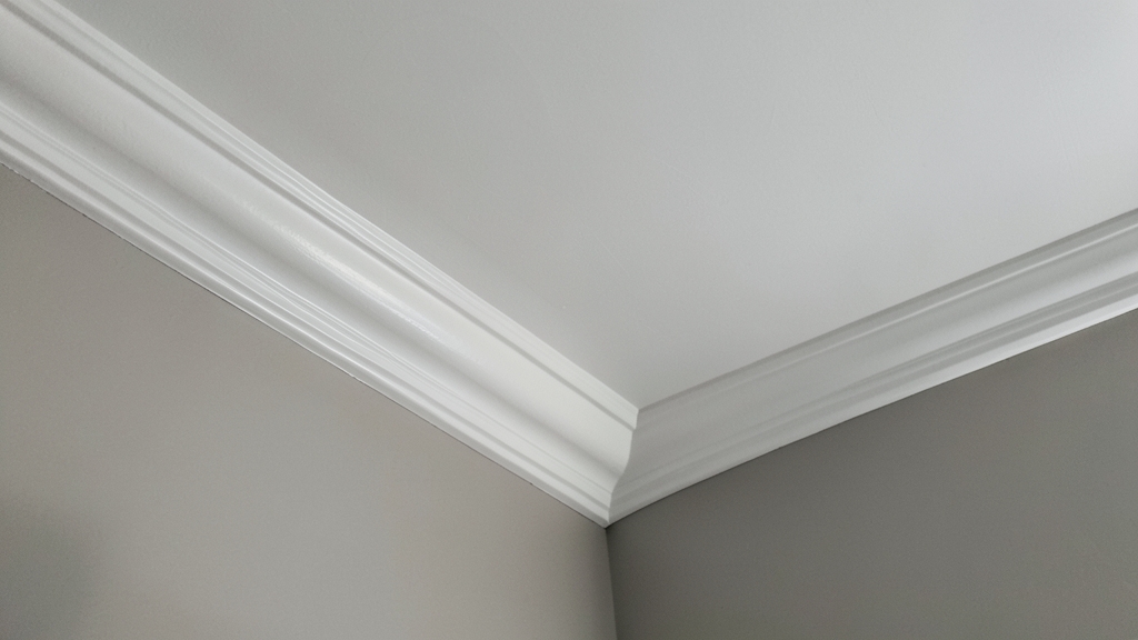 Mold Remediation 101: Protecting Your Maple Shade Home