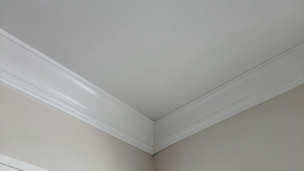 How to Prevent Mold in Storage Areas in Maple Shade