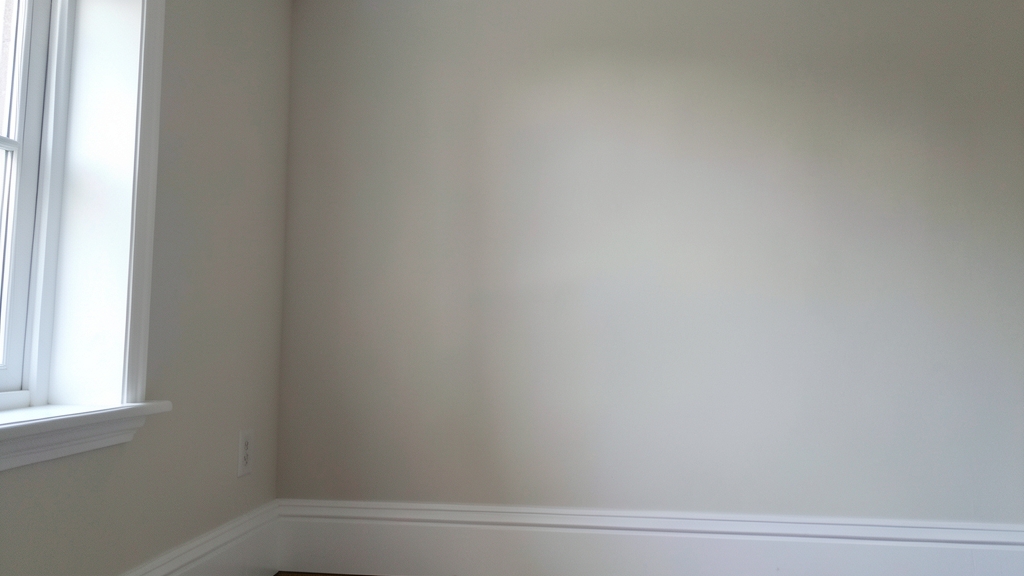How Stachybotrys Mold Affects Respiratory in Maple Shade