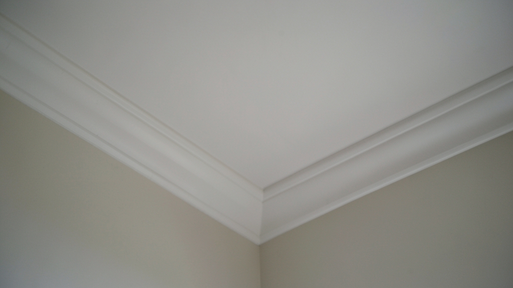 The Top 5 Mold-Prone Areas in Maple Shade Homes and How to Address Them