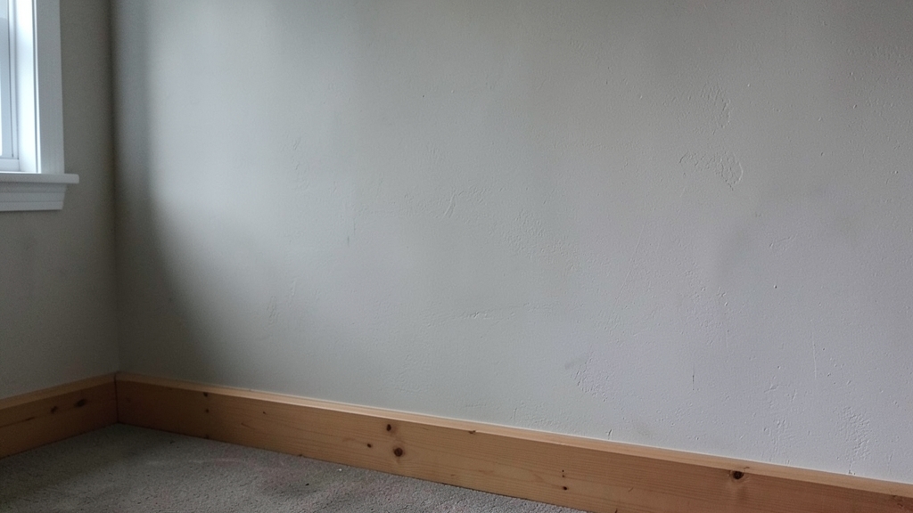 Why DIY Mold Cleanup Fails and How Pros in Maple Shade Succeed