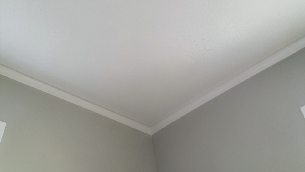 Why Professional Mold Inspections Are Worth It in Maple Shade