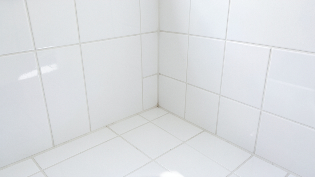 Mold Removal vs. Health Risks: What Mount Holly Homeowners Must Prioritize