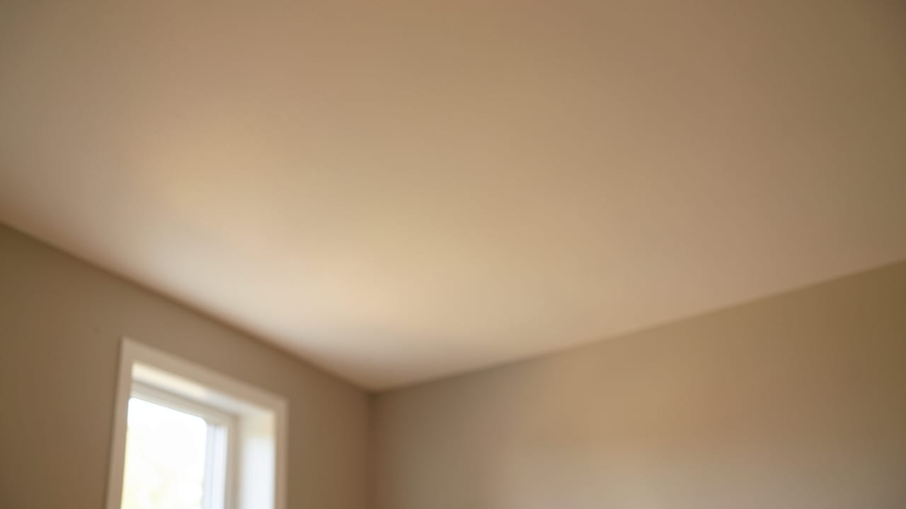 Ceiling Mold Removal in New Providence, NJ in New Providence
