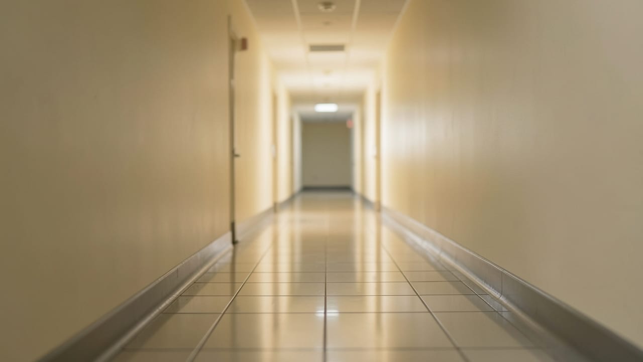 Hospital Mold Removal in New Providence, NJ in New Providence