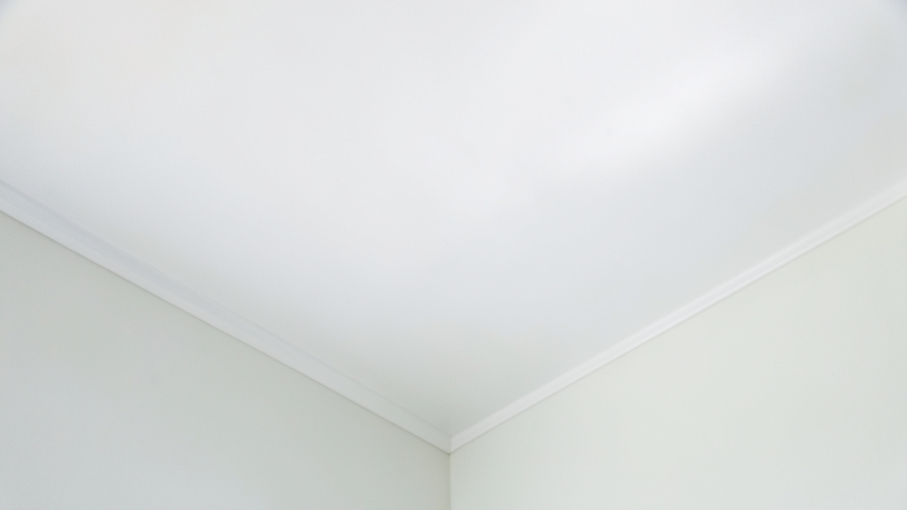 How to Identify Hidden Mold in Newport Beach Office Buildings Before It Spreads