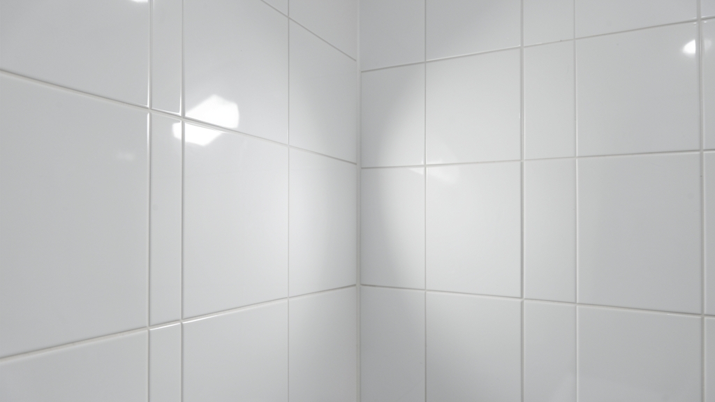 Understanding Mold Remediation Costs in Pacific Beach
