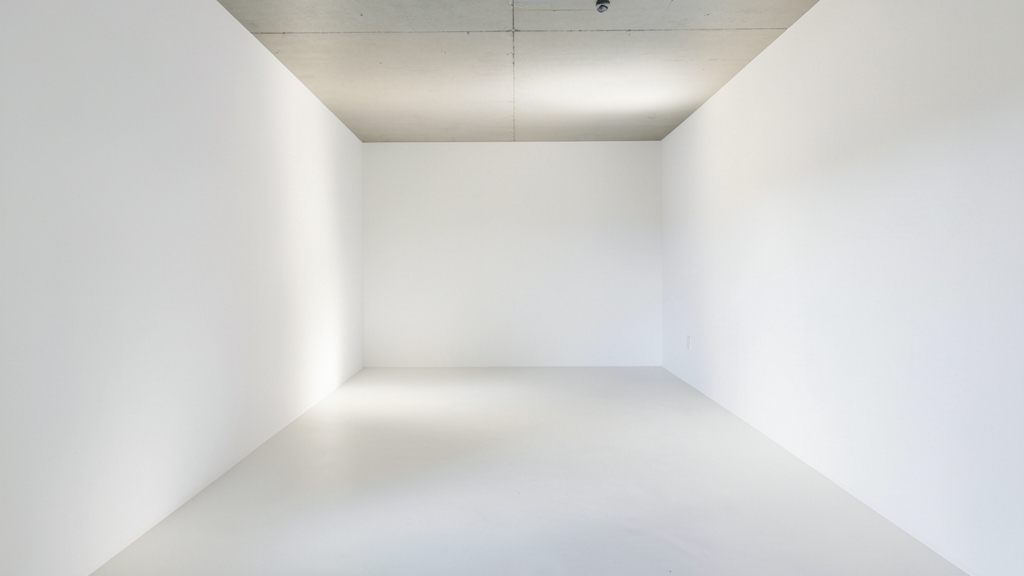 Mold Remediation vs. Mold Mitigation: What Pacific Beach Property Managers Need to Know