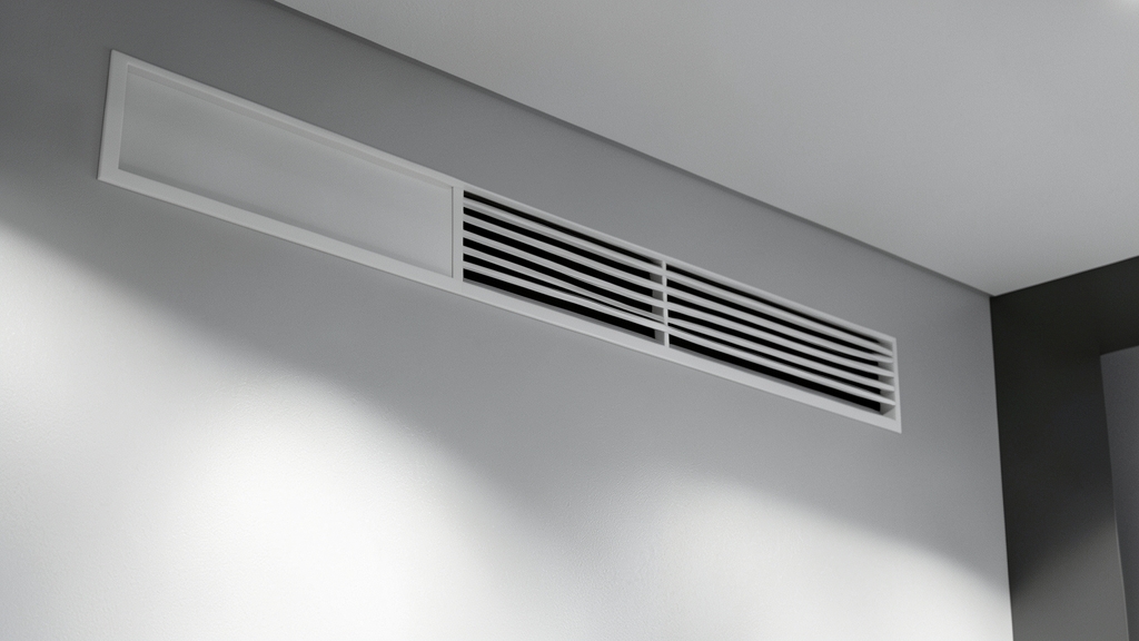The Most Accurate Ways to Test for Mold in Pacific Beach