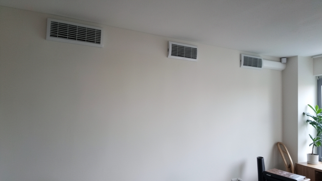 How Arizona’s Climate Fuels Mold Growth in Paradise Valley Homes