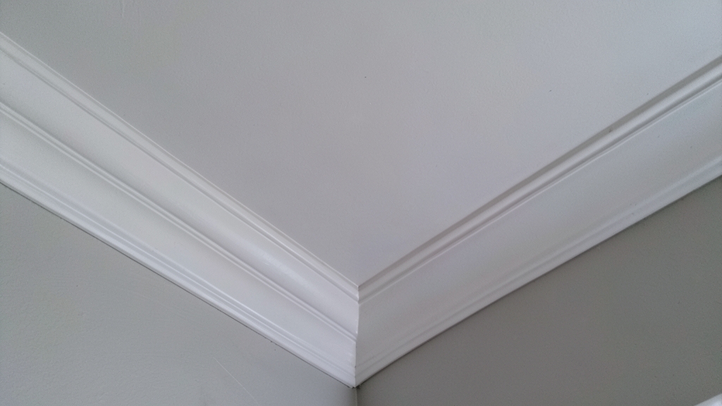 How Often Should You Schedule a Mold Inspection in Paradise Valley?
