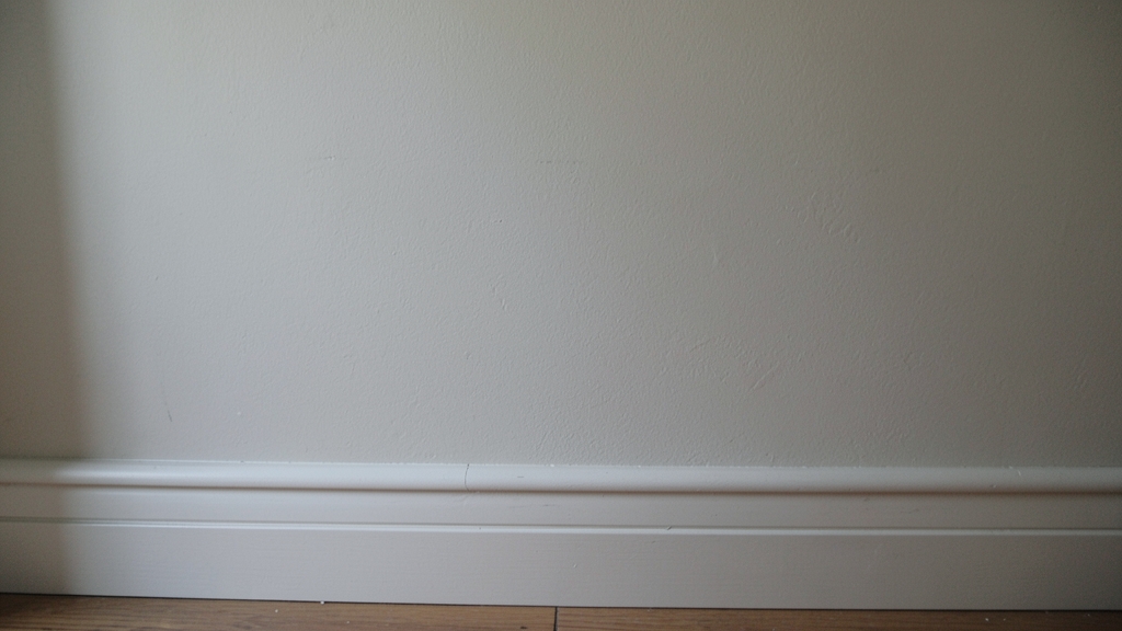 How to Prepare Your Home for Professional Mold Remediation in Paradise Valley