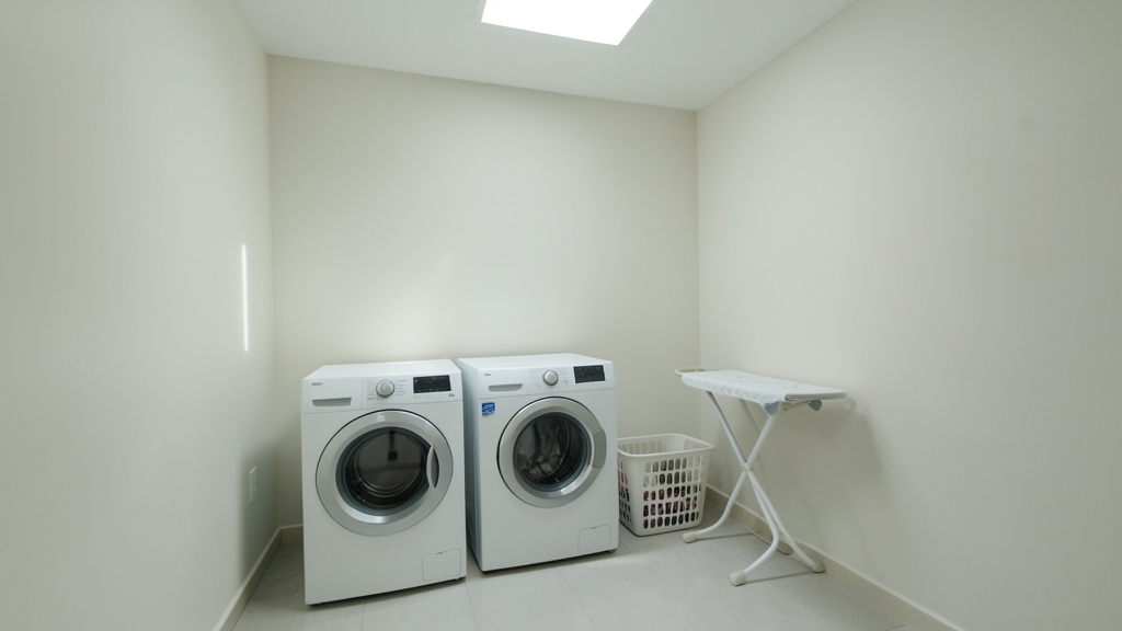 The Invisible Threat: Incomplete Mold Removal in Paradise Valley Properties