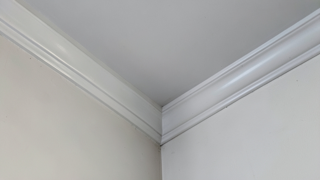 How to Prevent Mold Recurrence After Remediation in Paradise Valley