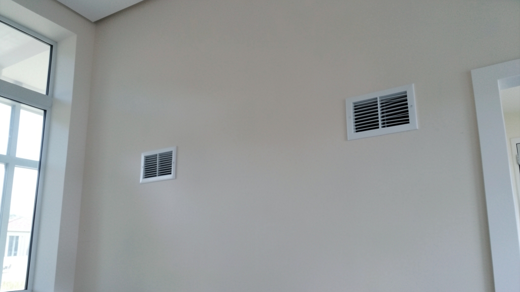 Understanding How Stachybotrys Affects Respiratory Health in Paradise Valley Homes