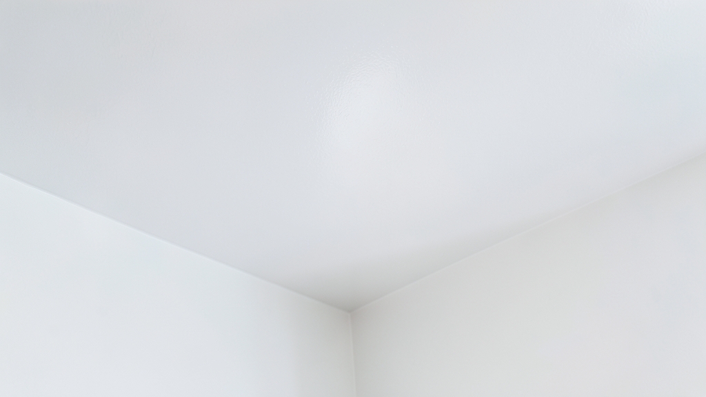The Hidden Dangers of Stachybotrys in Staatsburg Basements