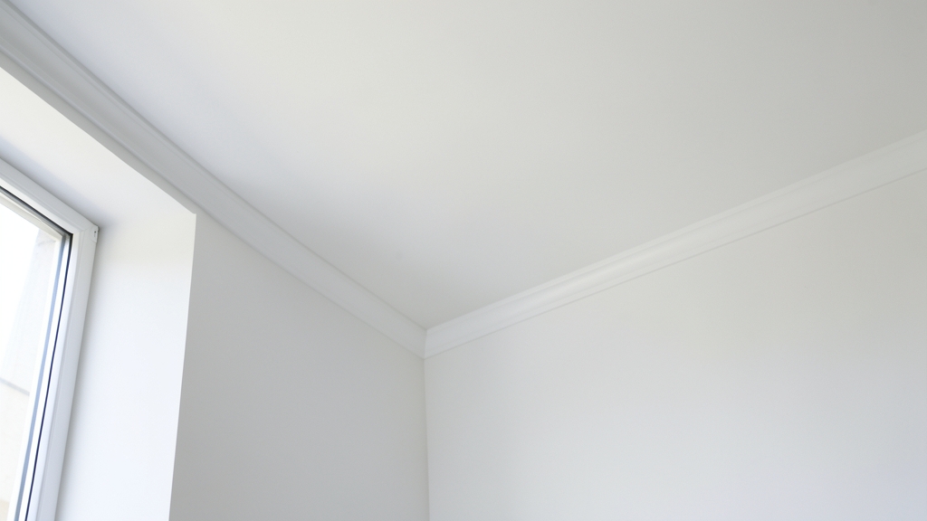 Why Regular Mold Inspections Are Your Best Defense in Staatsburg