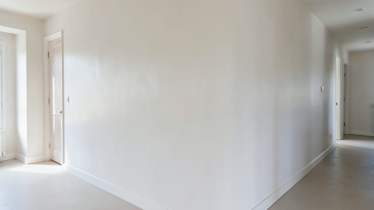 Plaster Mold Remediation in Staatsburg, NY in Staatsburg