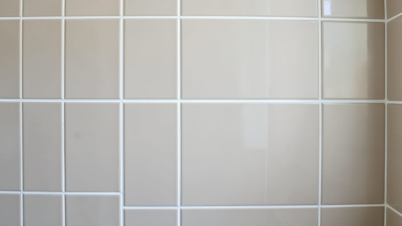 Tile & Grout Mold Cleanup in Staatsburg, NY in Staatsburg