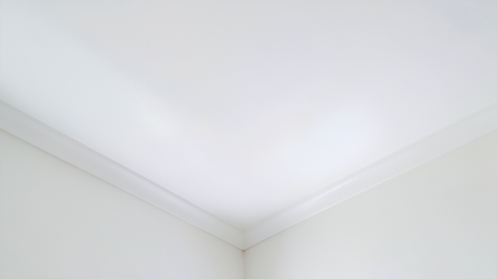 Mold Remediation Certifications Required for Contractors in Vista