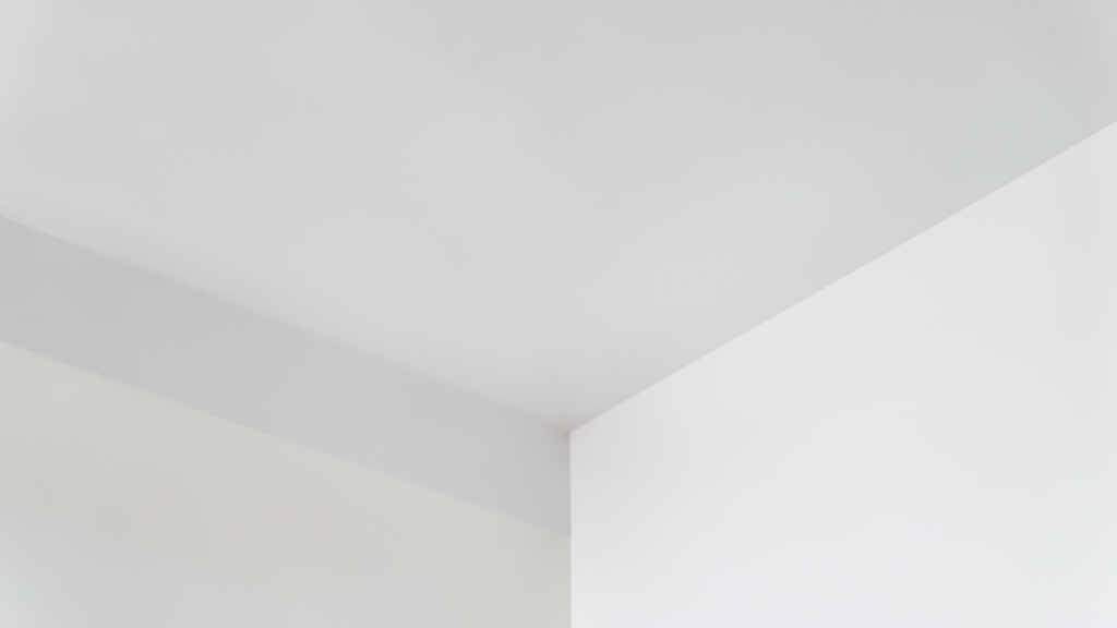 How to Prevent Mold After Water Damage in Vista Properties